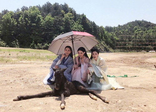出游季夏曰炎炎，草帽加連衣裙絕對(duì)是標(biāo)配，暑期防曬全攻略！